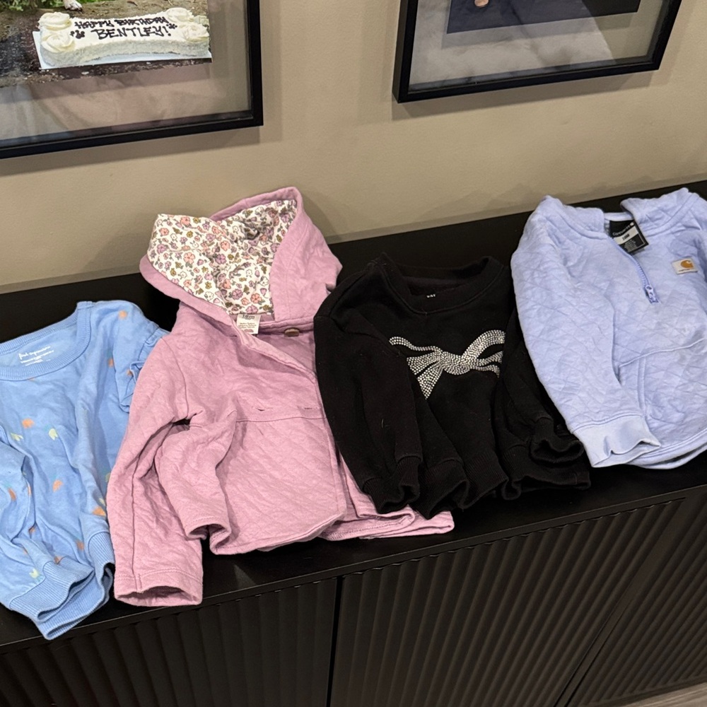 Toddler Sweatshirt Bundle